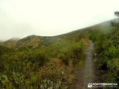 Atazar a Patones; Senda Genaro GR-300; rutas excursiones;caminatas sierra madrid